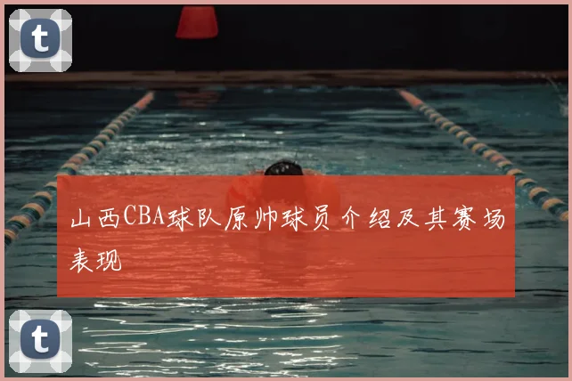 山西CBA球队原帅球员介绍及其赛场表现