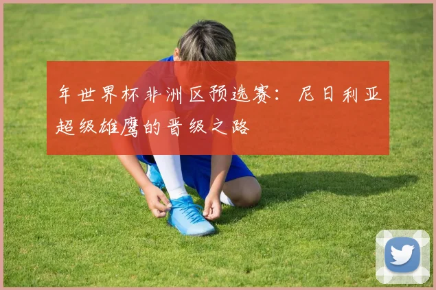 年世界杯非洲区预选赛：尼日利亚超级雄鹰的晋级之路