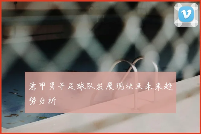 意甲男子足球队发展现状及未来趋势分析
